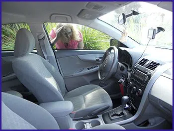 Federal Hill RI Locksmith Store Federal Hill, RI 401-308-3692